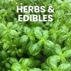 Herbs & Edibles
