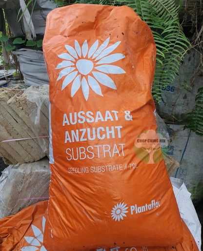 Plantaflor Young Plant Substrate