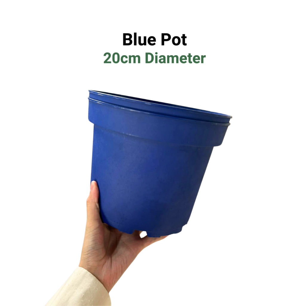 Premium 6-Color Gardening Pots | Durable Round Planters | Vibrant Multi-Pack Variety