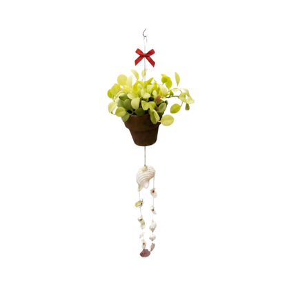 [Local Seller] Seashell Wind Chime with Dischidia platyphylla | Apple Leaf Dischidia Hanging Decor | Low Maintenance