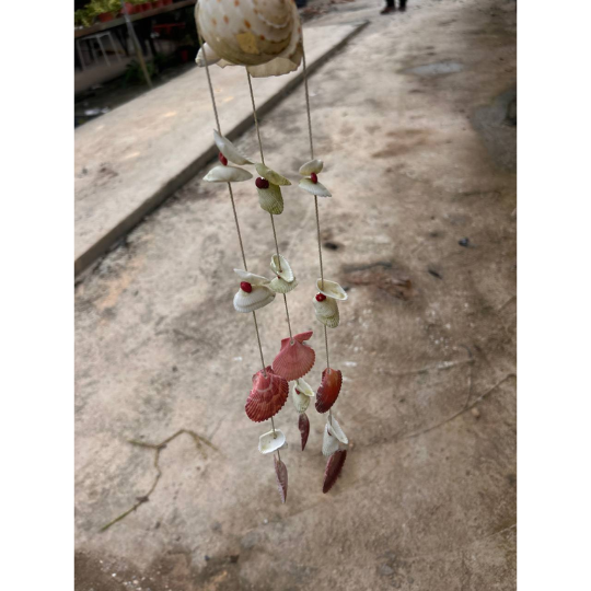 [Local Seller] Seashell Wind Chime with Dischidia platyphylla | Apple Leaf Dischidia Hanging Decor | Low Maintenance