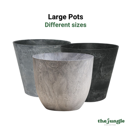 Large Pots