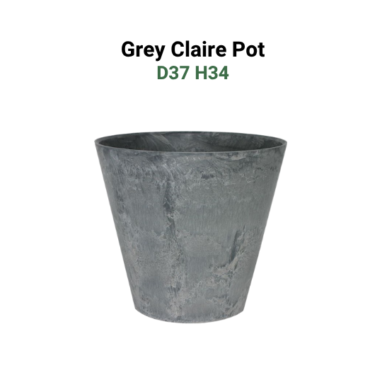 Large Pots