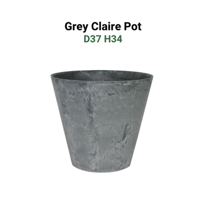 Large Pots