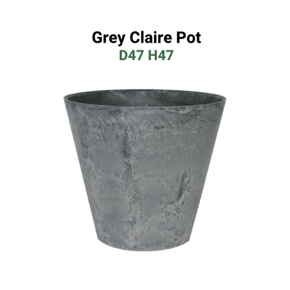 Large Pots