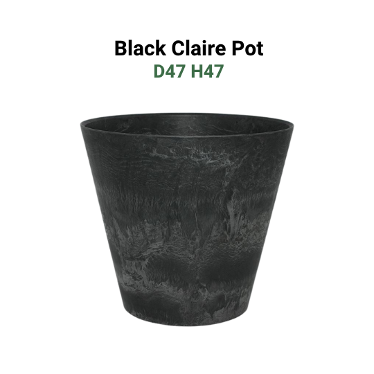 Large Pots