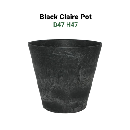 Large Pots