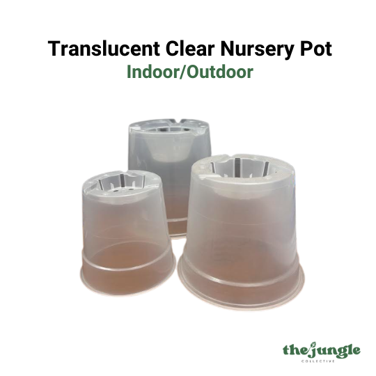 Translucent Clear Nursery Pot | Indoor/Outdoor | Root Visibility & Drainage Optimized