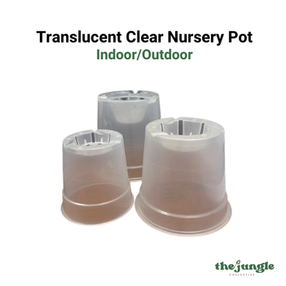 Translucent Clear Nursery Pot | Indoor/Outdoor | Root Visibility & Drainage Optimized