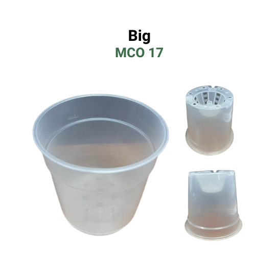 Translucent Clear Nursery Pot | Indoor/Outdoor | Root Visibility & Drainage Optimized