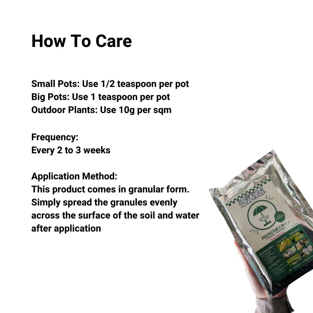 300g Protector 2-in-1 | Fungicide + Insecticide | Non-Edible Indoor & Outdoor Plants | Complete Pest & Disease Defense | Easy-to-Use Plant Care
