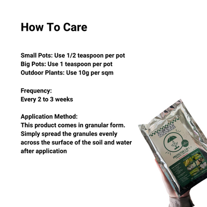 300g Protector 2-in-1 | Fungicide + Insecticide | Non-Edible Indoor & Outdoor Plants | Complete Pest & Disease Defense | Easy-to-Use Plant Care