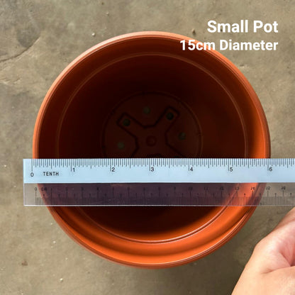 Classic Terracotta-Style Plastic Garden Pots | 4 Sizes (S, M, L, XL) | Lightweight & Durable