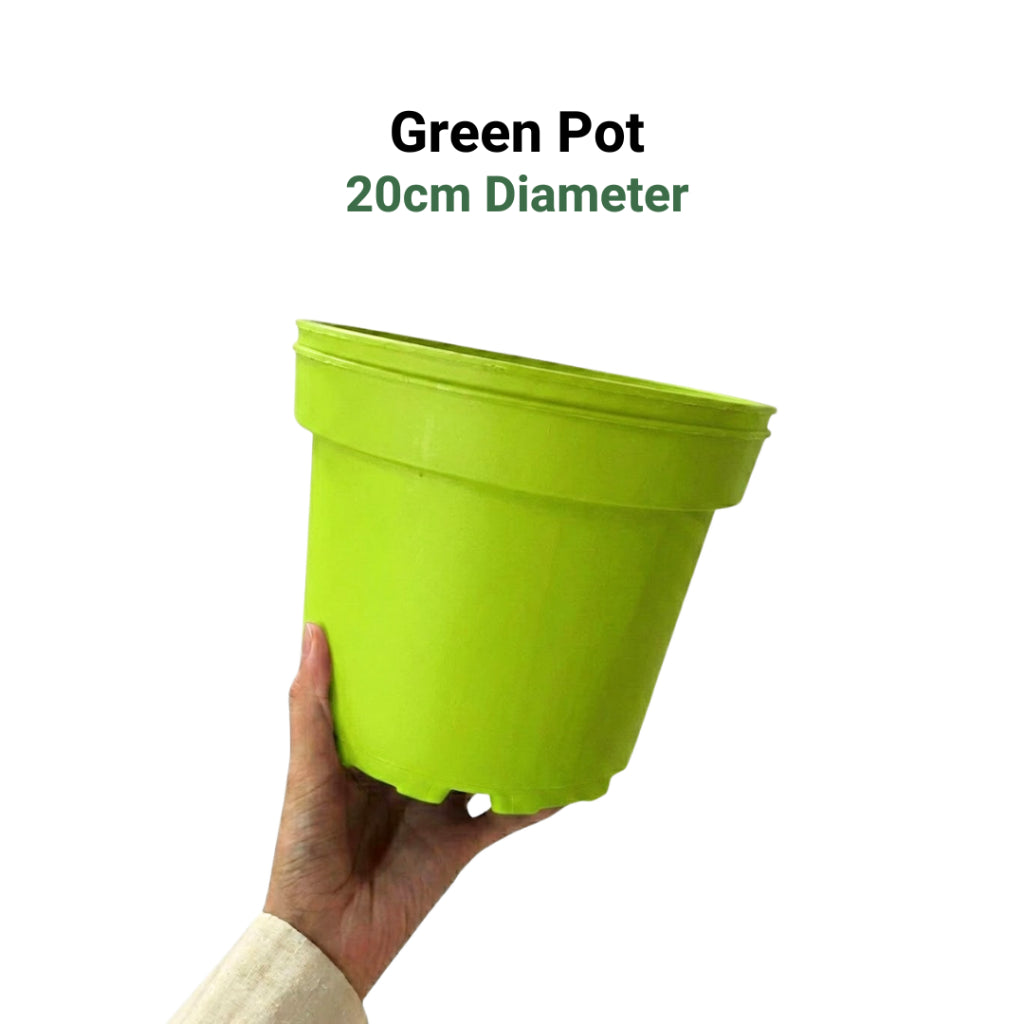 Premium 6-Color Gardening Pots | Durable Round Planters | Vibrant Multi-Pack Variety