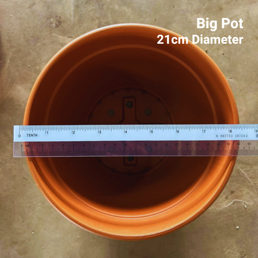 Classic Terracotta-Style Plastic Garden Pots | 4 Sizes (S, M, L, XL) | Lightweight & Durable