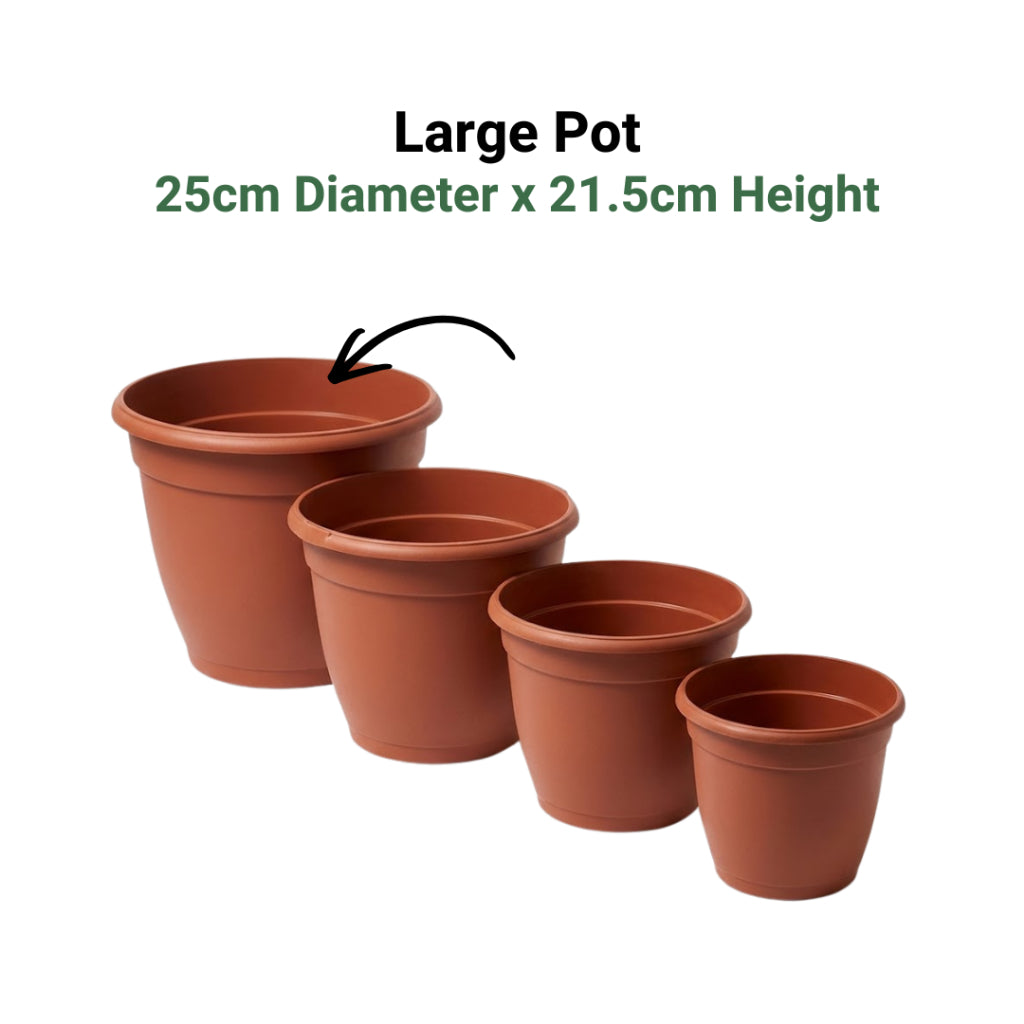 Classic Terracotta-Style Plastic Garden Pots | 4 Sizes (S, M, L, XL) | Lightweight & Durable