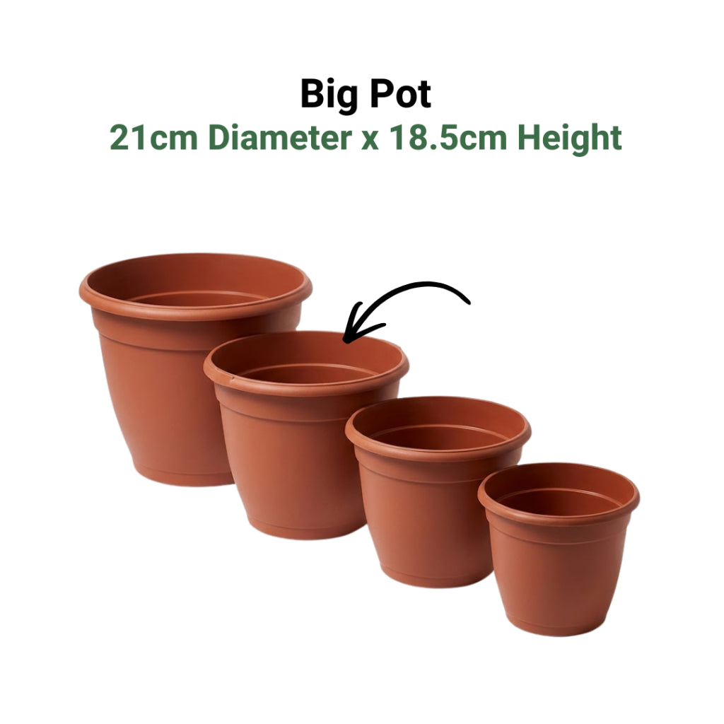 Classic Terracotta-Style Plastic Garden Pots | 4 Sizes (S, M, L, XL) | Lightweight & Durable