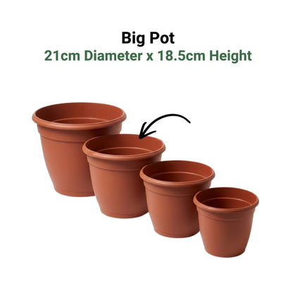 Classic Terracotta-Style Plastic Garden Pots | 4 Sizes (S, M, L, XL) | Lightweight & Durable
