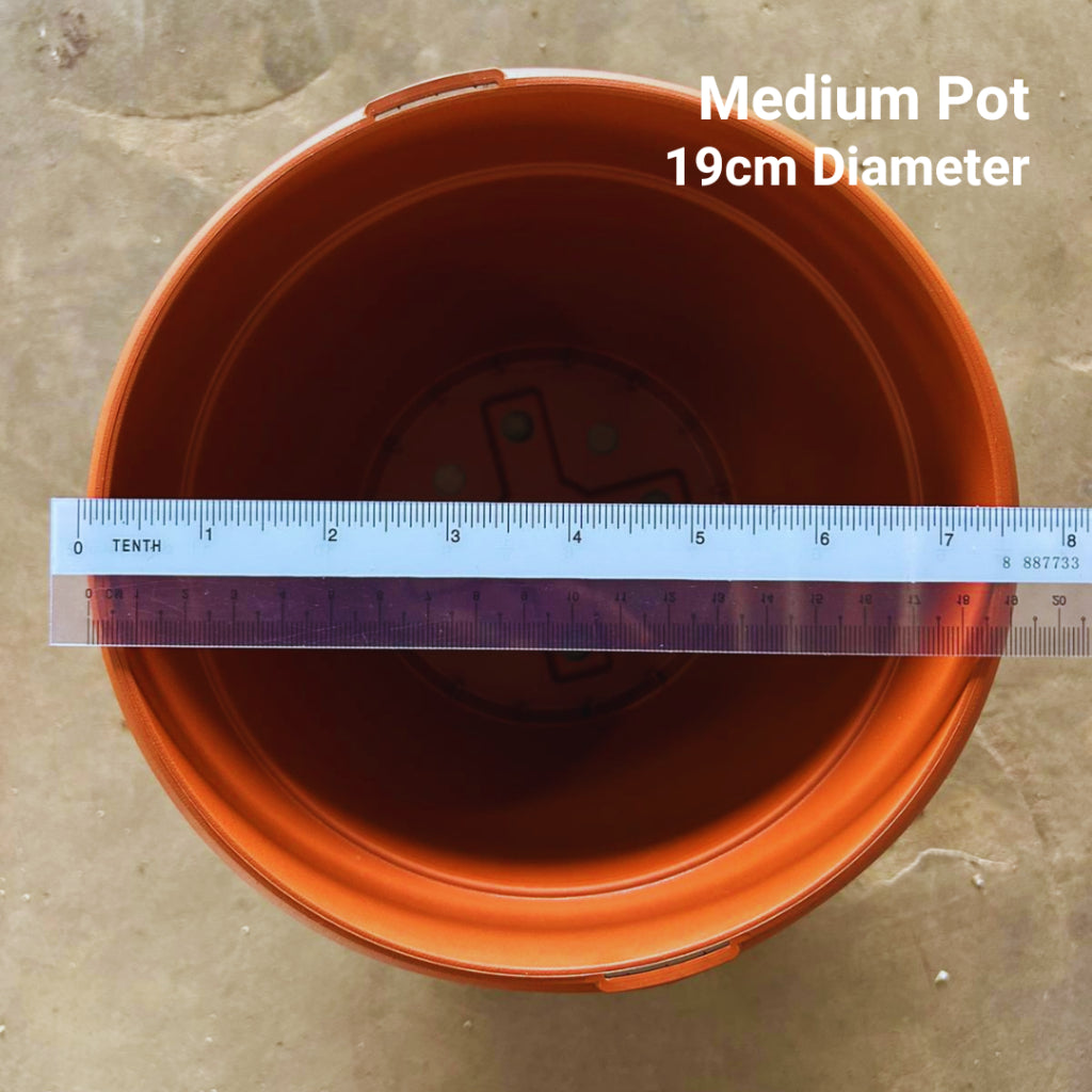 Classic Terracotta-Style Plastic Garden Pots | 4 Sizes (S, M, L, XL) | Lightweight & Durable