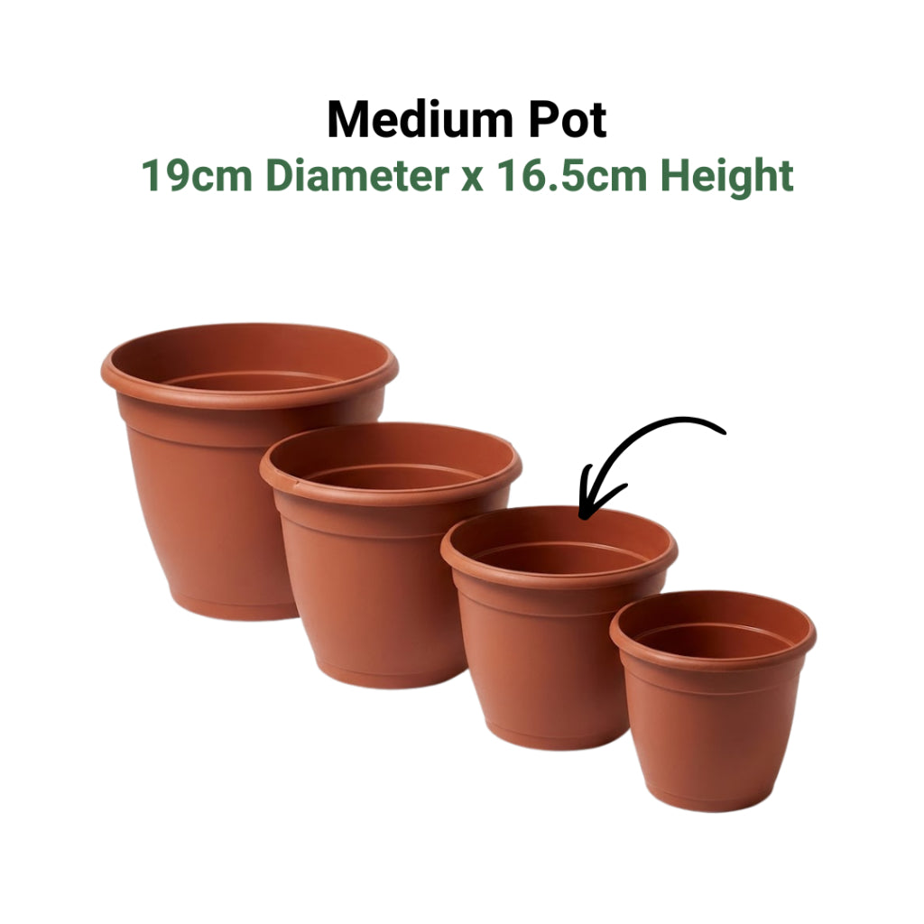 Classic Terracotta-Style Plastic Garden Pots | 4 Sizes (S, M, L, XL) | Lightweight & Durable