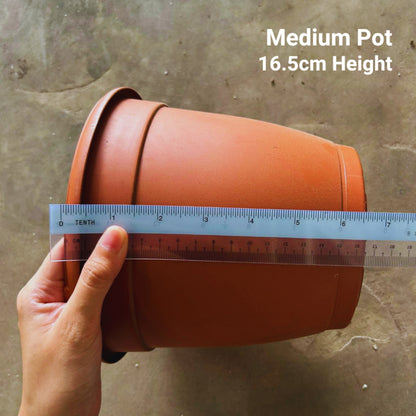 Classic Terracotta-Style Plastic Garden Pots | 4 Sizes (S, M, L, XL) | Lightweight & Durable