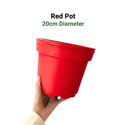Premium 6-Color Gardening Pots | Durable Round Planters | Vibrant Multi-Pack Variety