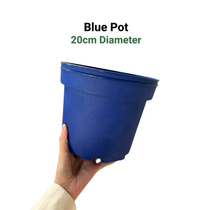 Premium 6-Color Gardening Pots | Durable Round Planters | Vibrant Multi-Pack Variety