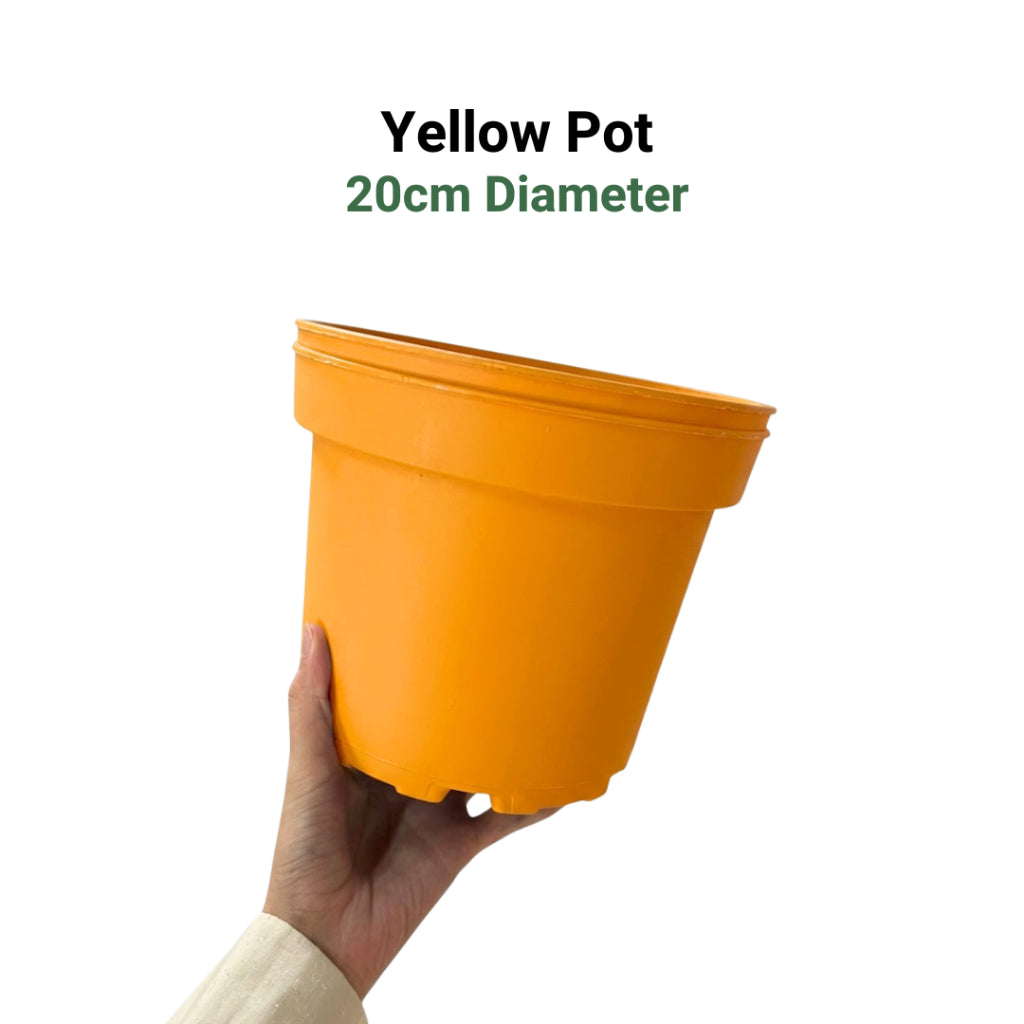 Premium 6-Color Gardening Pots | Durable Round Planters | Vibrant Multi-Pack Variety