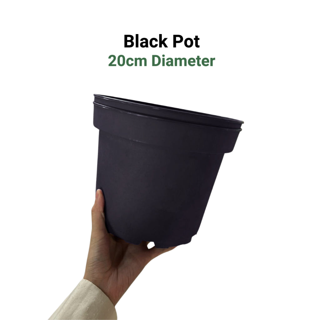 Premium 6-Color Gardening Pots | Durable Round Planters | Vibrant Multi-Pack Variety