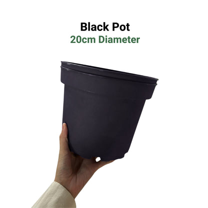 Premium 6-Color Gardening Pots | Durable Round Planters | Vibrant Multi-Pack Variety