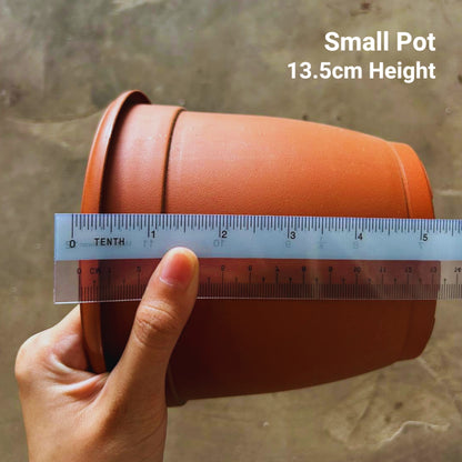 Classic Terracotta-Style Plastic Garden Pots | 4 Sizes (S, M, L, XL) | Lightweight & Durable