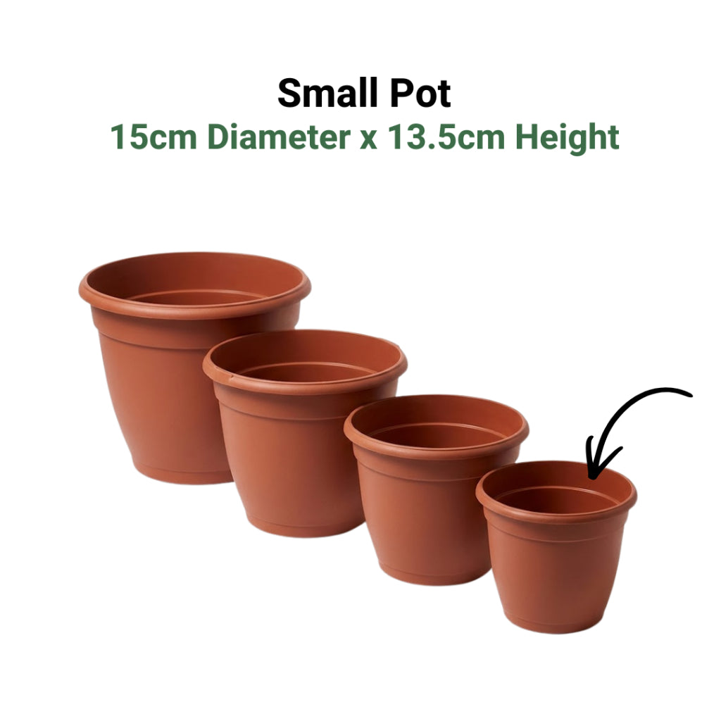 Classic Terracotta-Style Plastic Garden Pots | 4 Sizes (S, M, L, XL) | Lightweight & Durable