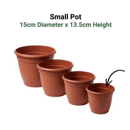 Classic Terracotta-Style Plastic Garden Pots | 4 Sizes (S, M, L, XL) | Lightweight & Durable