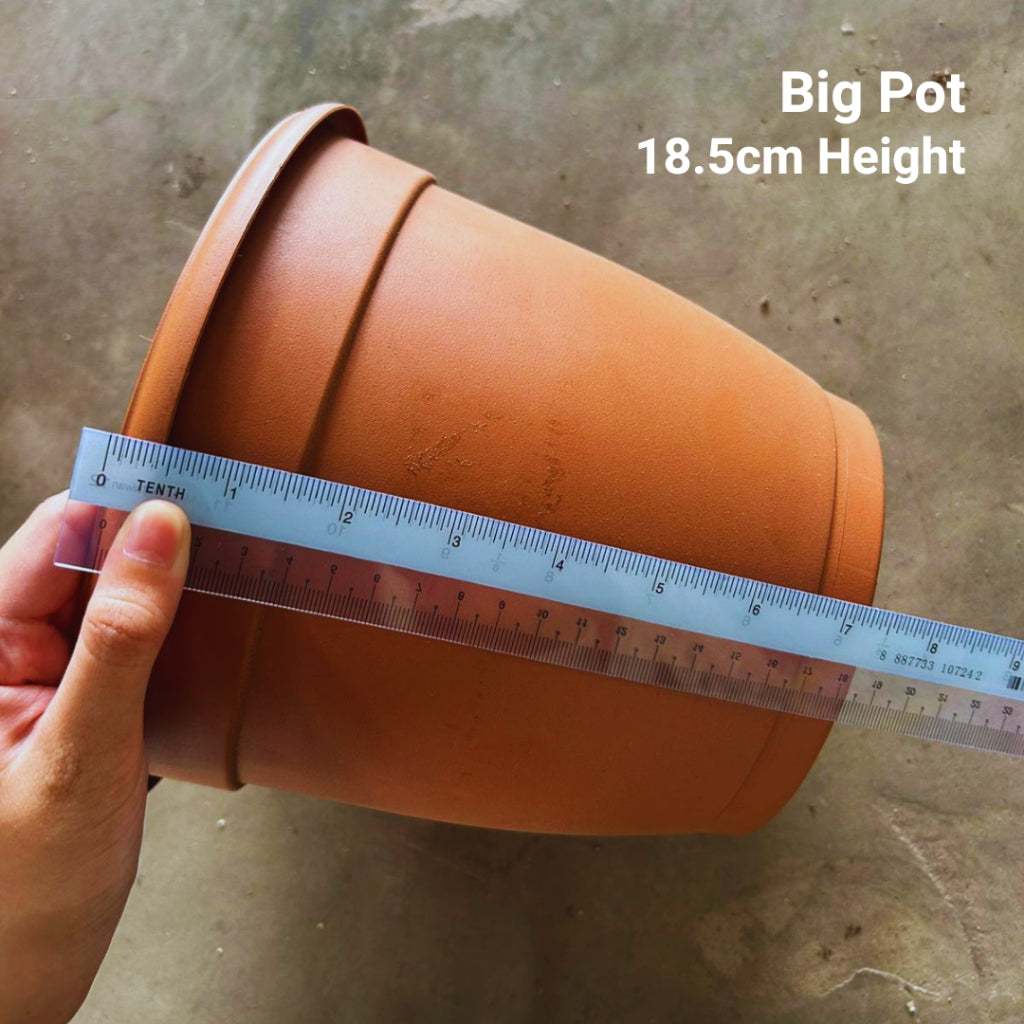 Classic Terracotta-Style Plastic Garden Pots | 4 Sizes (S, M, L, XL) | Lightweight & Durable